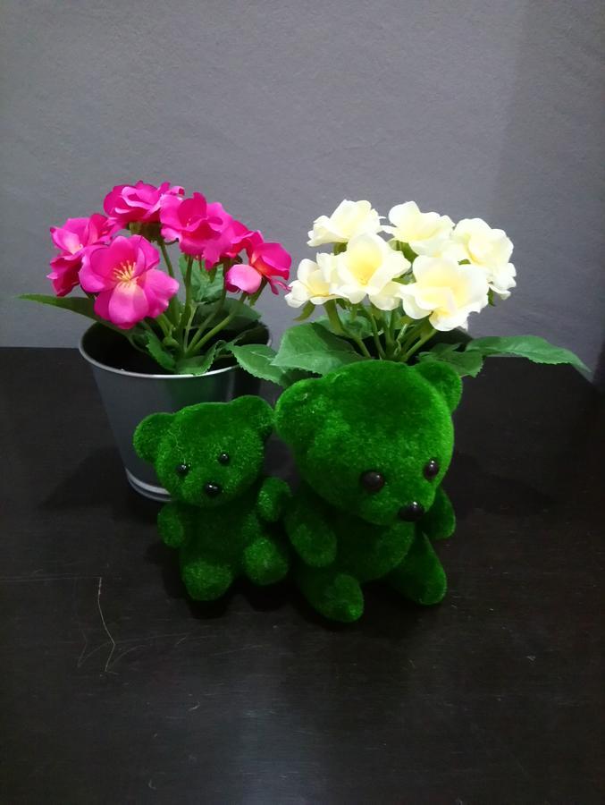 Jb Homestay Bukit Indah Wifi Ciq Mall Legoland Free Parking جوهر بهرو المظهر الخارجي الصورة